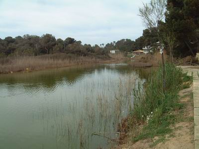 DSCF0036.JPG